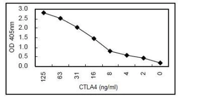 Sandwich ELISA - HRP Anti-CTLA4 antibody [KT50] (AB106490)