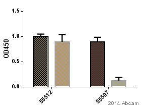 ELISA - HRP Anti-GST antibody (AB3416)