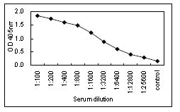 Sandwich ELISA - HRP Anti-IgA antibody [KT40] (AB106765)