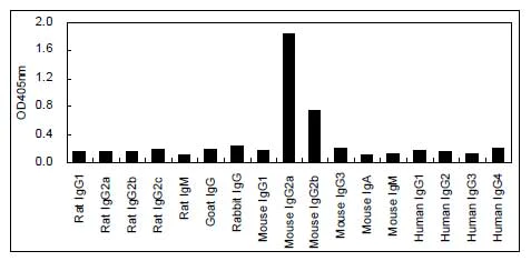ELISA - HRP Anti-IgG2a antibody [KT92] (AB170489)