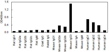 ELISA - HRP Anti-IgG3 antibody [KT94] (AB170490)