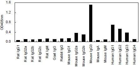 ELISA - HRP Anti-IgG3 antibody [KT94] (AB170490)