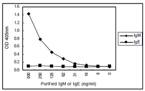 Sandwich ELISA - HRP Anti-IgM antibody [KT38] (AB106742)
