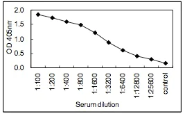 Sandwich ELISA - HRP Anti-IgM antibody [KT38] (AB106742)