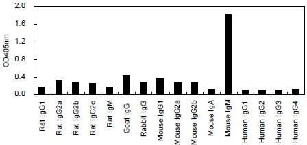 ELISA - HRP Anti-IgM antibody [KT95] (AB170492)