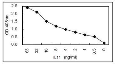 Sandwich ELISA - HRP Anti-IL-11 antibody [KT62] (AB106492), expandable thumbnail