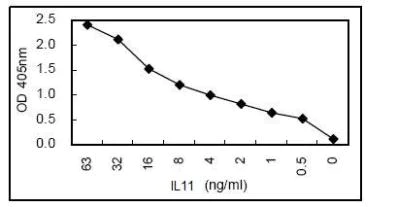 Sandwich ELISA - HRP Anti-IL-11 antibody [KT62] (AB106492)