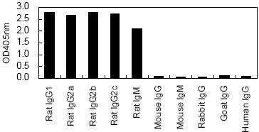 ELISA - HRP Anti-Kappa light chain antibody [KT102] (AB170326)