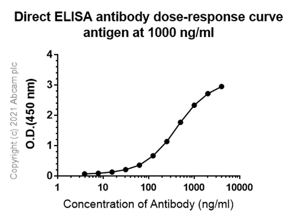 ELISA - HRP Anti-Maltose Binding Protein antibody [EPR4744] (AB300054)