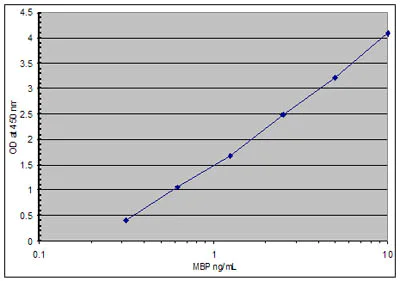 Sandwich ELISA - HRP Anti-Myelin Basic Protein antibody (AB77895)
