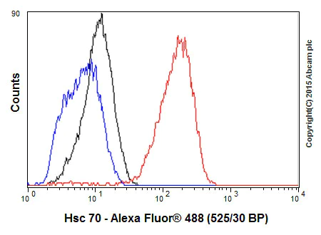 Flow Cytometry (Intracellular) - Anti-Hsc70 antibody [EP1531Y] - BSA and Azide free (AB220821)