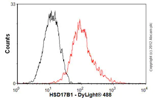 Flow Cytometry (Intracellular) - Anti-HSD17B1 antibody [EP1682Y] - BSA and Azide free (AB247308)