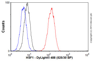 Flow Cytometry - Anti-HSF1 antibody [10H8] (AB61382), expandable thumbnail