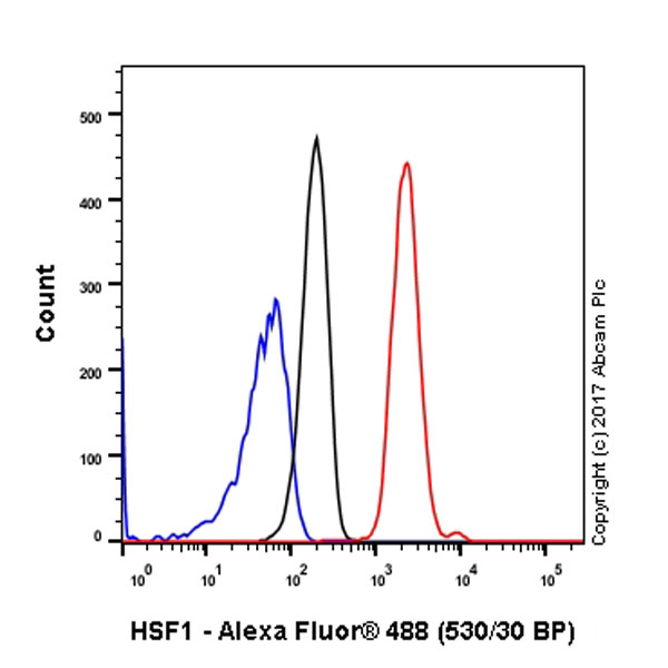 Flow Cytometry (Intracellular) - Anti-HSF1 antibody [EP1710Y] - BSA and Azide free (ab232342), expandable thumbnail
