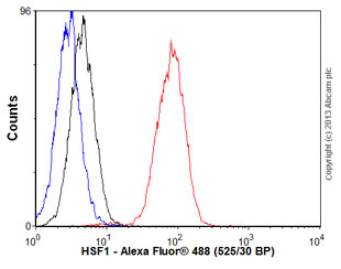Flow Cytometry (Intracellular) - Anti-HSF1 antibody [EP1710Y] - BSA and Azide free (ab232342), expandable thumbnail