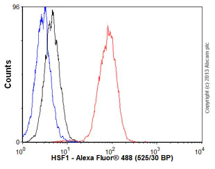 Flow Cytometry (Intracellular) - Anti-HSF1 antibody [EP1710Y] - BSA and Azide free (AB232342)
