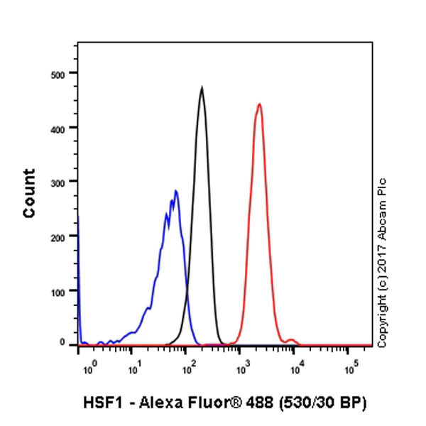 Flow Cytometry (Intracellular) - Anti-HSF1 antibody [EP1710Y] - ChIP Grade (AB52757)