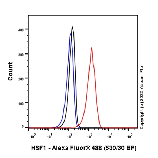 Flow Cytometry (Intracellular) - Anti-HSF1 antibody [EPR23673-128] (AB242138)