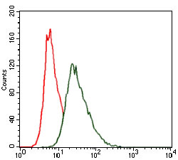 Flow Cytometry - Anti-HSF4 antibody [2E7] (AB128146)