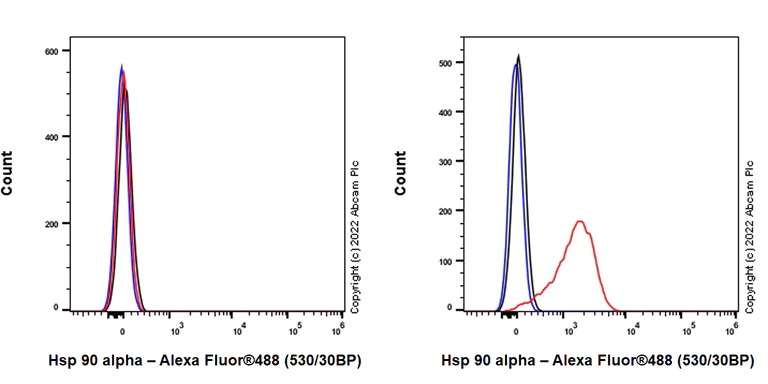 Flow Cytometry (Intracellular) - Anti-Hsp 90 alpha antibody [EPR27270-11] (AB303516)