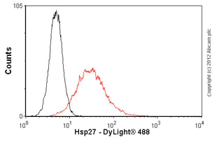 Flow Cytometry - Anti-Hsp27 antibody [8A7] (AB79868)