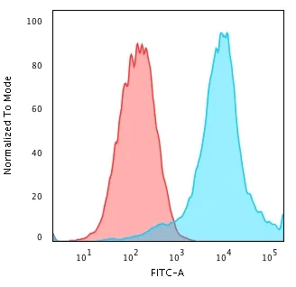 Flow Cytometry - Anti-Hsp27 antibody [CPTC-HSPB1-2] (AB268073)