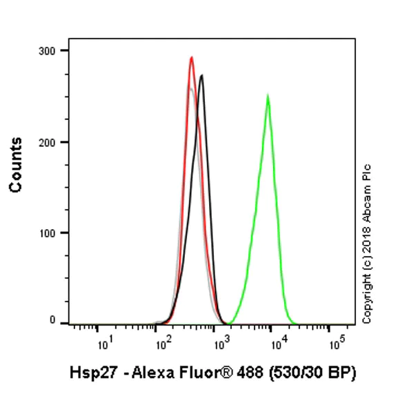 Flow Cytometry (Intracellular) - Anti-Hsp27 antibody [EPR5477] - BSA and Azide free (AB229442)
