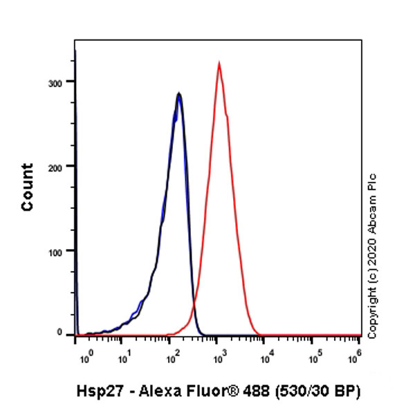 Flow Cytometry (Intracellular) - Anti-Hsp27 antibody [G3.1] (AB2790)