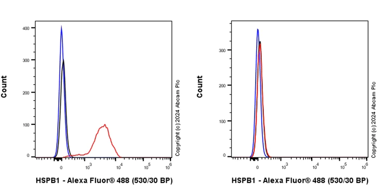 Flow Cytometry (Intracellular) - Anti-Hsp27 antibody [RM1148] - BSA and Azide free (AB317708)