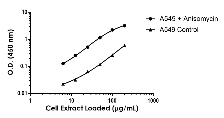 Sandwich ELISA - Anti-Hsp27 (phospho S82) antibody [EPR7278-114] - BSA and Azide free (Detector) (AB308543)