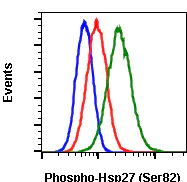 Flow Cytometry - Anti-Hsp27 (phospho S82) antibody [HSP27S82-CB2] (AB278625)