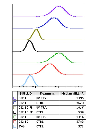 Flow Cytometry - Anti-Hsp27 (phospho S82) antibody [HSP27S82-CB2] (AB278625)