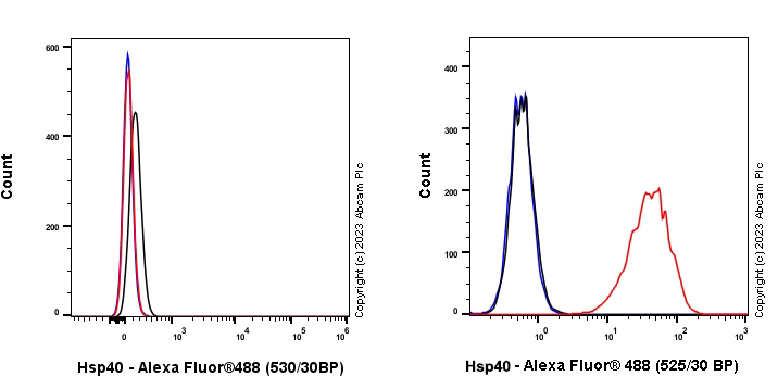 Flow Cytometry (Intracellular) - Anti-Hsp40 antibody [EPR25331-69] - BSA and Azide free (ab315993), expandable thumbnail