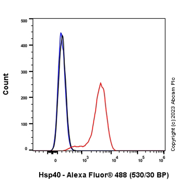Flow Cytometry (Intracellular) - Anti-Hsp40 antibody [EPR25331-69] - BSA and Azide free (ab315993), expandable thumbnail