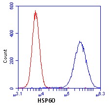 Flow Cytometry - Anti-Hsp60 antibody [1D11BD8] - Mitochondrial Marker (AB110312), expandable thumbnail