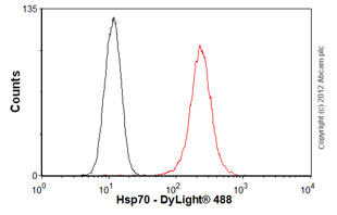 Flow Cytometry - Anti-Hsp70 antibody [2A4] (ab5442), expandable thumbnail