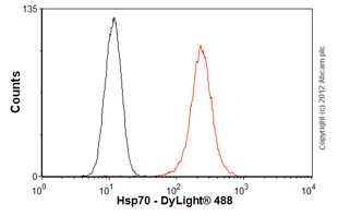 Flow Cytometry - Anti-Hsp70 antibody [2A4] (AB5442)
