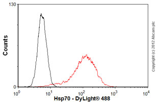 Flow Cytometry - Anti-Hsp70 antibody [5A5] (AB2787), expandable thumbnail