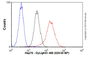 Flow Cytometry - Anti-Hsp70 antibody [BB70] (AB53496)