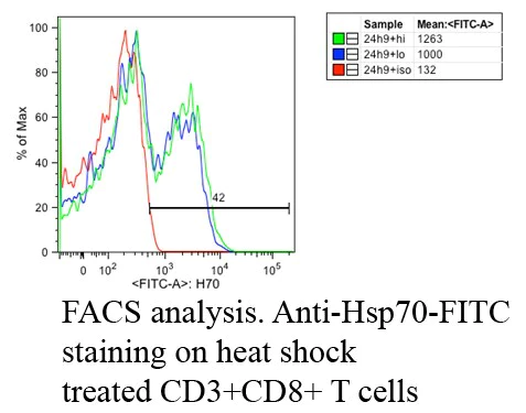 Flow Cytometry - Anti-Hsp70 antibody [C92F3A-5] (AB47455)