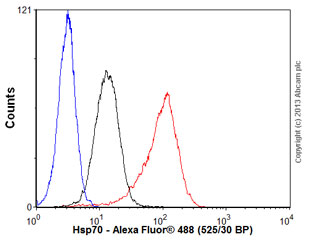 Flow Cytometry (Intracellular) - Anti-Hsp70 antibody [EP1007Y] - BSA and Azide free (AB239834)