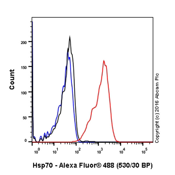 Flow Cytometry (Intracellular) - Anti-Hsp70 antibody [EPR16893] - BSA and Azide free (AB238947)