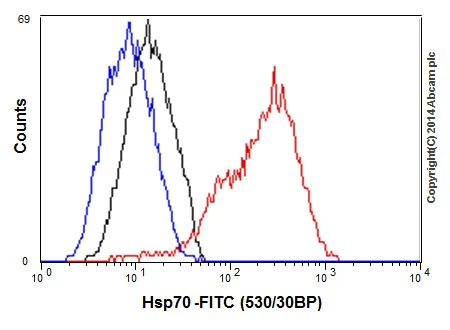 Flow Cytometry (Intracellular) - Anti-Hsp70 antibody [EPR17677] (AB182844)