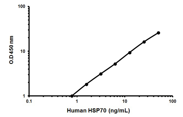 Sandwich ELISA - HSP70 ELISA Kit (AB133060)