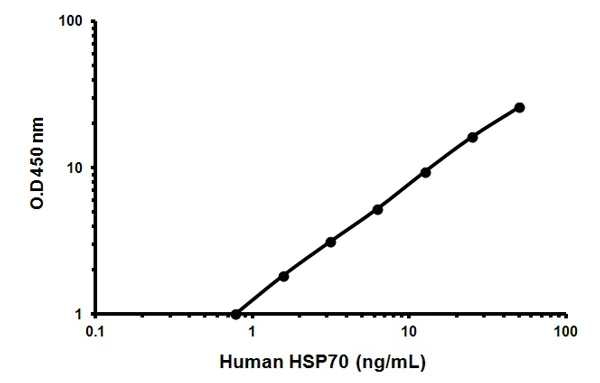Sandwich ELISA - HSP70 ELISA Kit (AB133060)