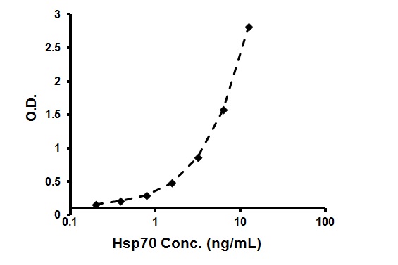 Sandwich ELISA - HSP70 High Sensitivity ELISA Kit (AB133061), expandable thumbnail