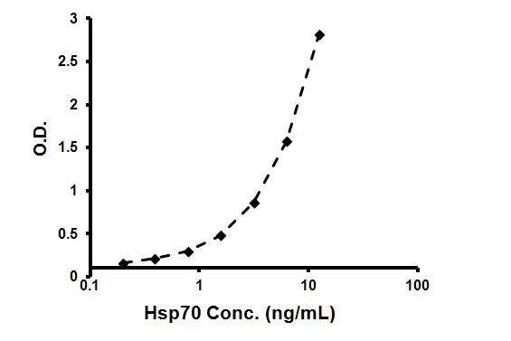Sandwich ELISA - HSP70 High Sensitivity ELISA Kit (AB133061)
