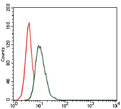 Flow Cytometry - Anti-Hsp90 alpha antibody [5G5] (AB128483)