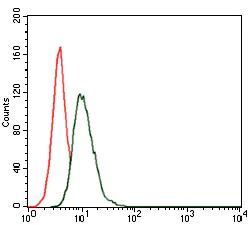 Flow Cytometry - Anti-Hsp90 alpha antibody [5G5] (AB128483)