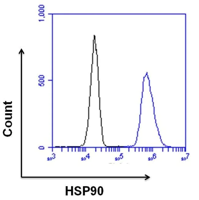 Flow Cytometry - Anti-Hsp90 beta antibody (AB2927)